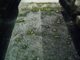 image of grave number 372393